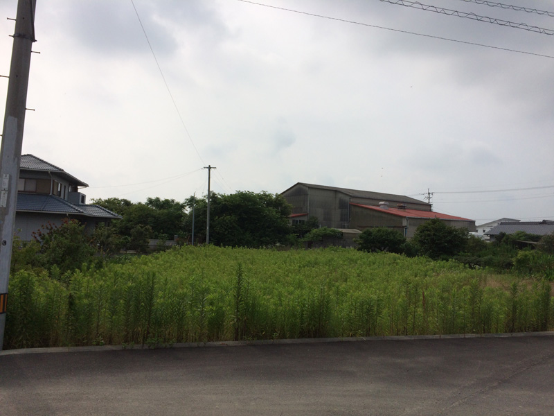 2015112001.JPG