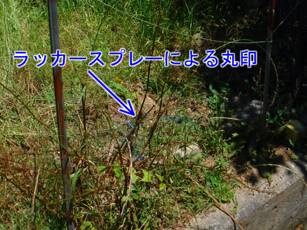 2016073002.JPG