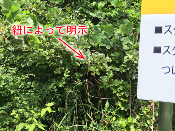 2016073003.JPG