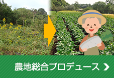 農地総合プロデュース